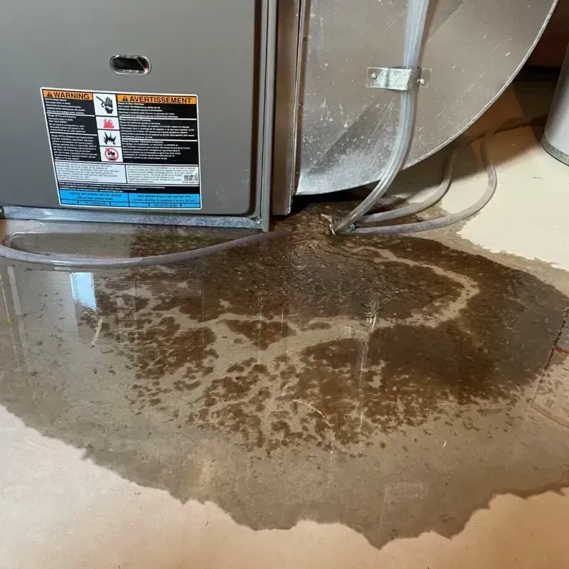 Appliance Leak Cleanup in Entiat, WA